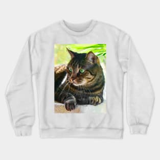 Simba Crewneck Sweatshirt